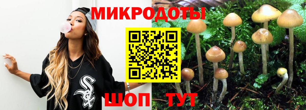 Псилоцибиновые грибы мицелий Новокубанск