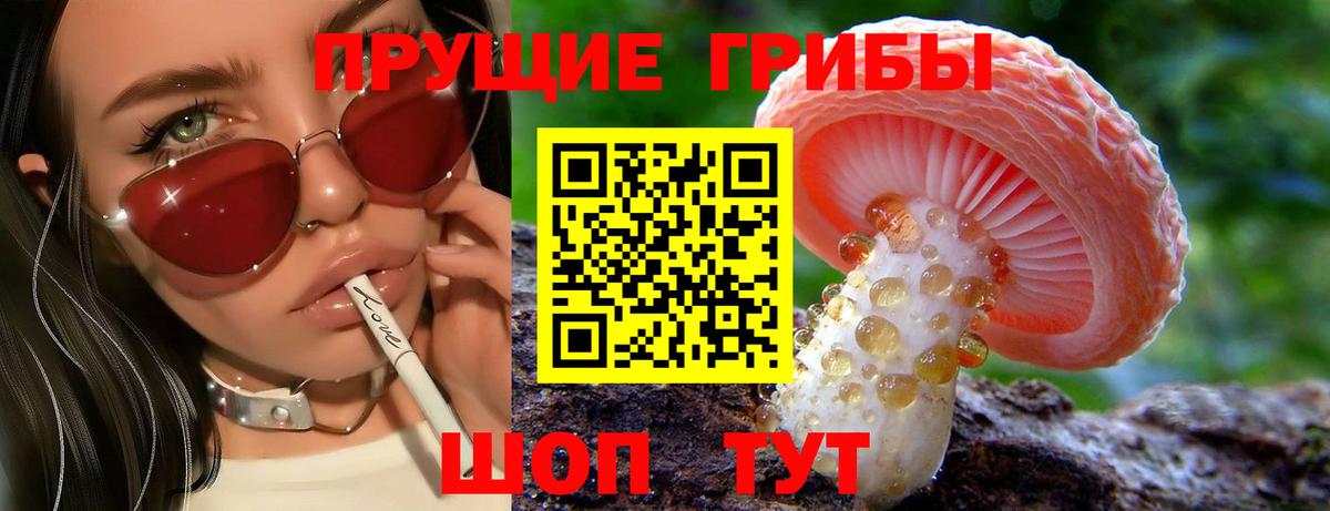 Псилоцибиновые грибы мицелий  Вход с VPN  Новокубанск 